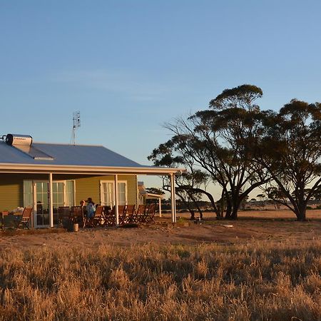 Mary'S Farm Cottages Kukerin Extérieur photo